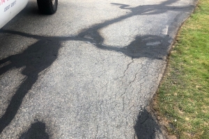 8B063364-DC79-4E9A-B219-7C2FEE2A7704